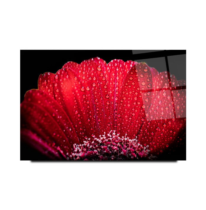 Картина от стъкло