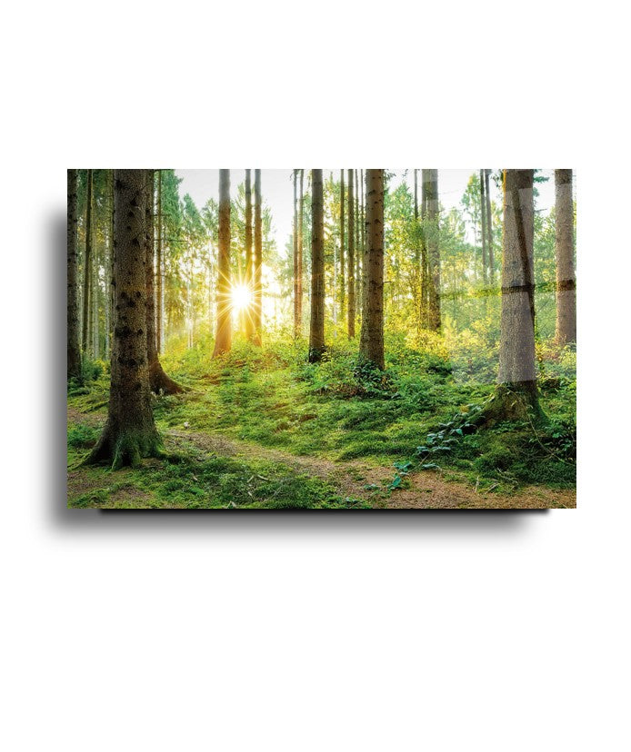 Картина от стъкло