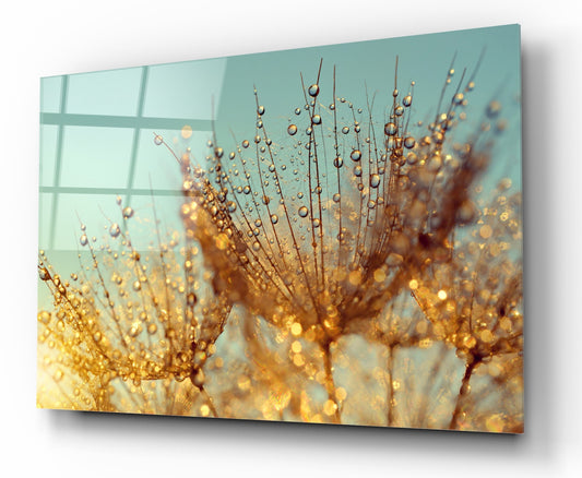 Картина от стъкло