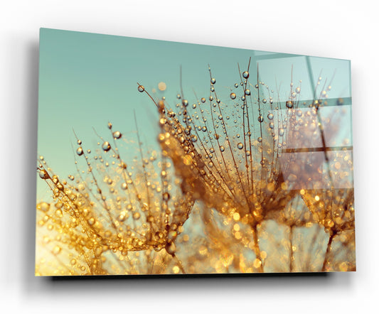 Картина от стъкло