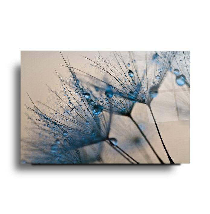 Картина от стъкло