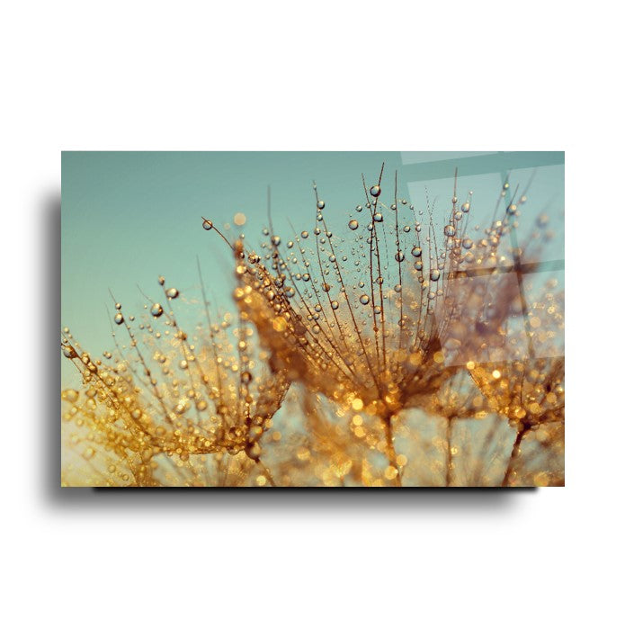 Картина от стъкло